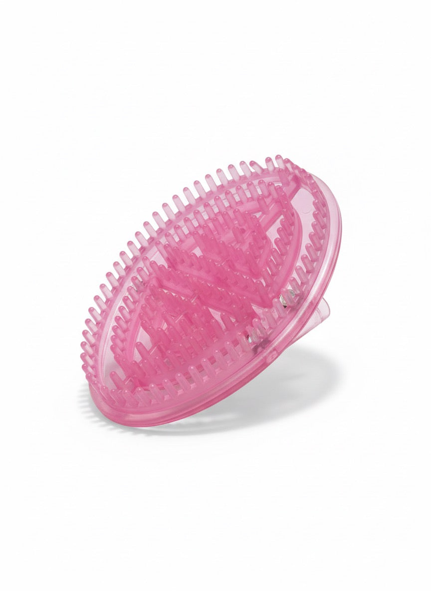 Brosse Masseur Anti-Cellulite